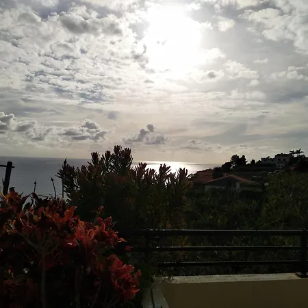 Daire Jardim Do Arco 