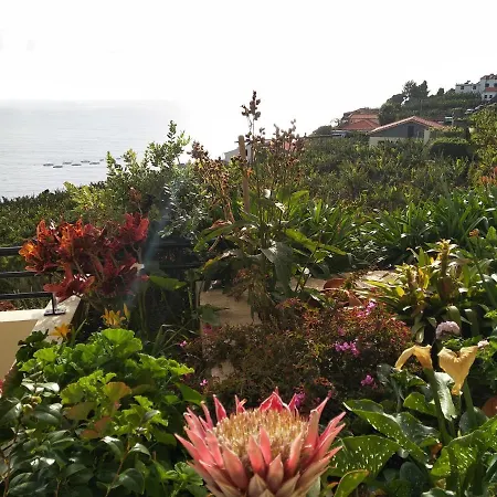 Jardim Do Arco 