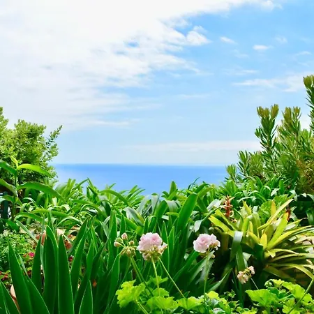 شقة Jardim Do Arco 