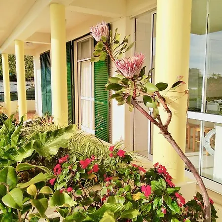 Jardim Do Arco 
